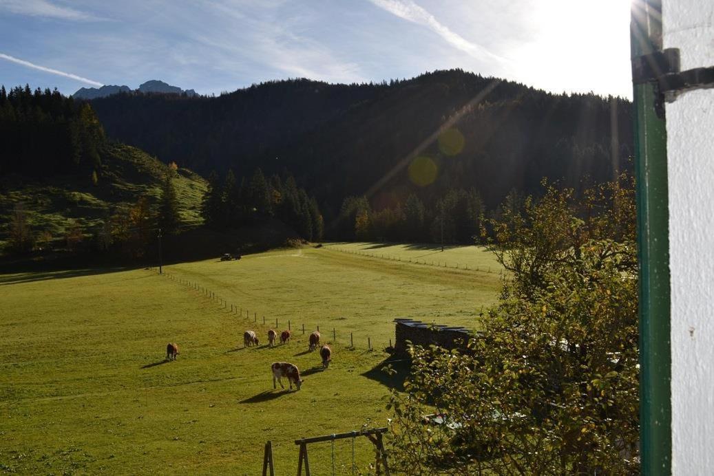 Ferienwohnungen Foidlhof Hochfilzen Exterior photo